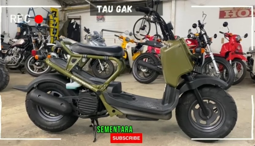 Skutik  Zoomer, Motor Honda Paling Unik  yang Tetap Garang Meski Tampil Telanjang