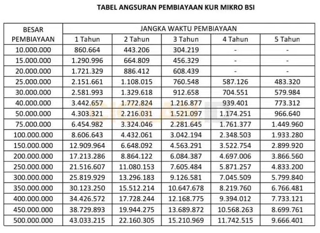 Tabel Angsuran KUR Bank BSI September 2023, Plafon Rp 50 Juta Cicilan Rp 900 Ribuan