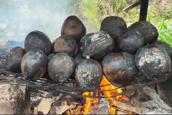 STOP Bakar Kelapa Muda! Dr Zaidul Akbar Ungkap Khasiat Air Kelapa Muda Sebenarnya