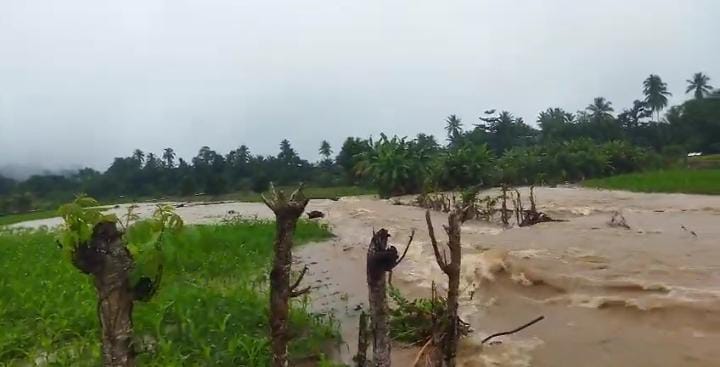 Banjir Hantam Bengkulu, 15 Hektar Tanaman Padi dan Jagung Rusak, Hati hati Banjir Susulan