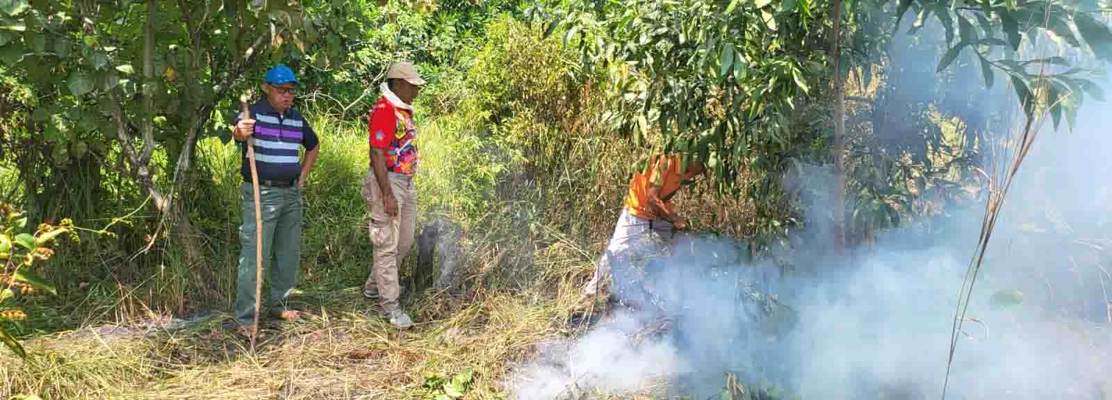 Kemarau di Bengkulu Tebar Ancaman, Harga Beras Naik, Tanaman Petani Layu, Terjadi Kebakaran Hutan