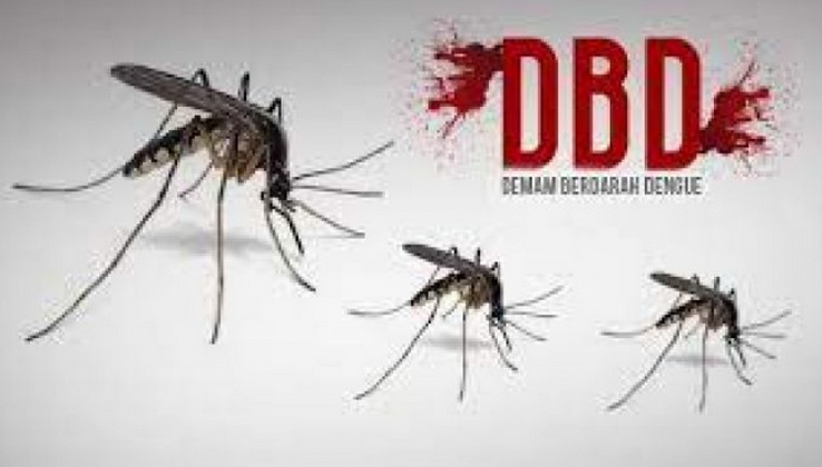 Hujan, Waspada Demam Berdarah Dengue! Nih Cara Mengenali Gejala DBD dan Mencegahnya