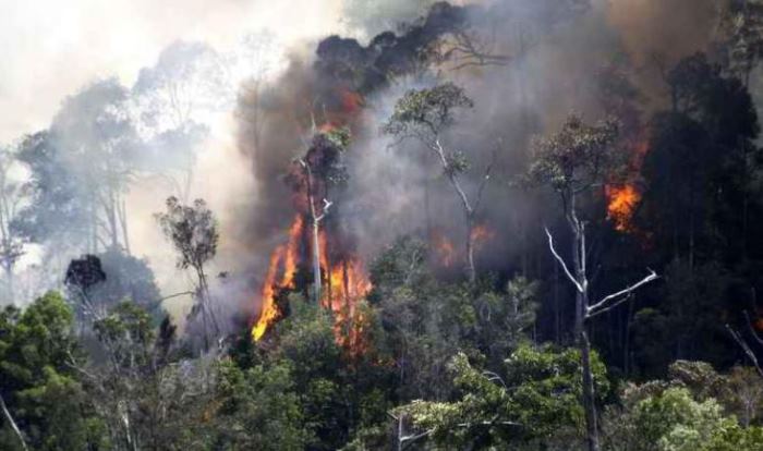 Catat!, Sengaja Atau Tidak, Bakar Hutan Bisa Dipenjara 15 Tahun, Petani Buka Lahan Jangan Pakai Api