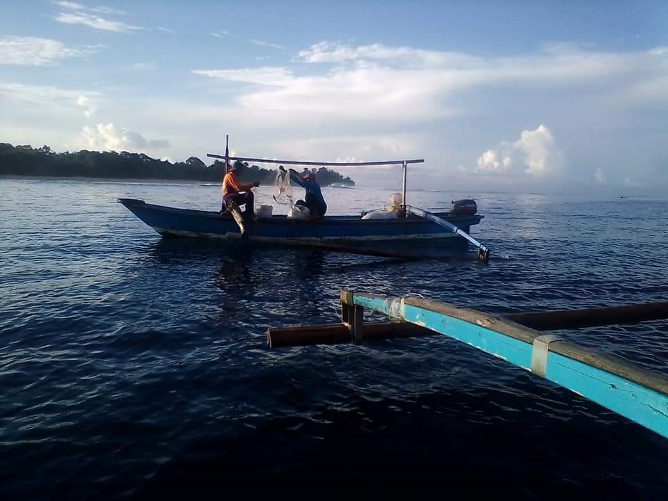 Penampung Benur Wajib Beli Dari Nelayan