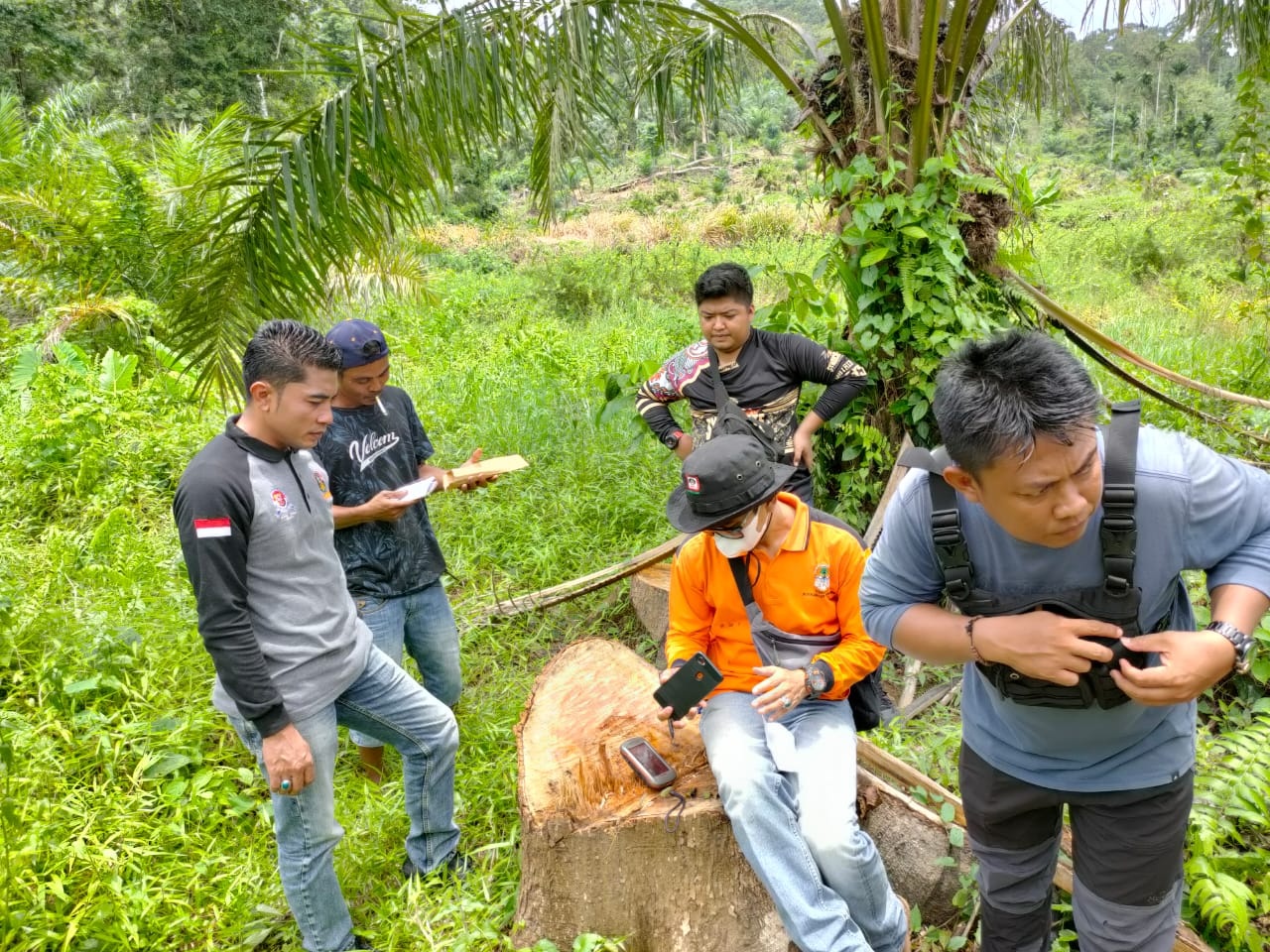 Palsukan Dokumen Kayu, Bos Depot Terancam Penjara 5 Tahun