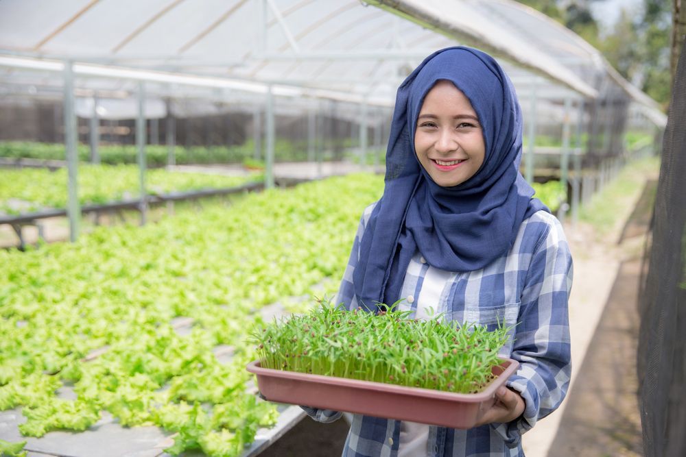 30 Pemuda Dilatih Jadi Petani Milenial