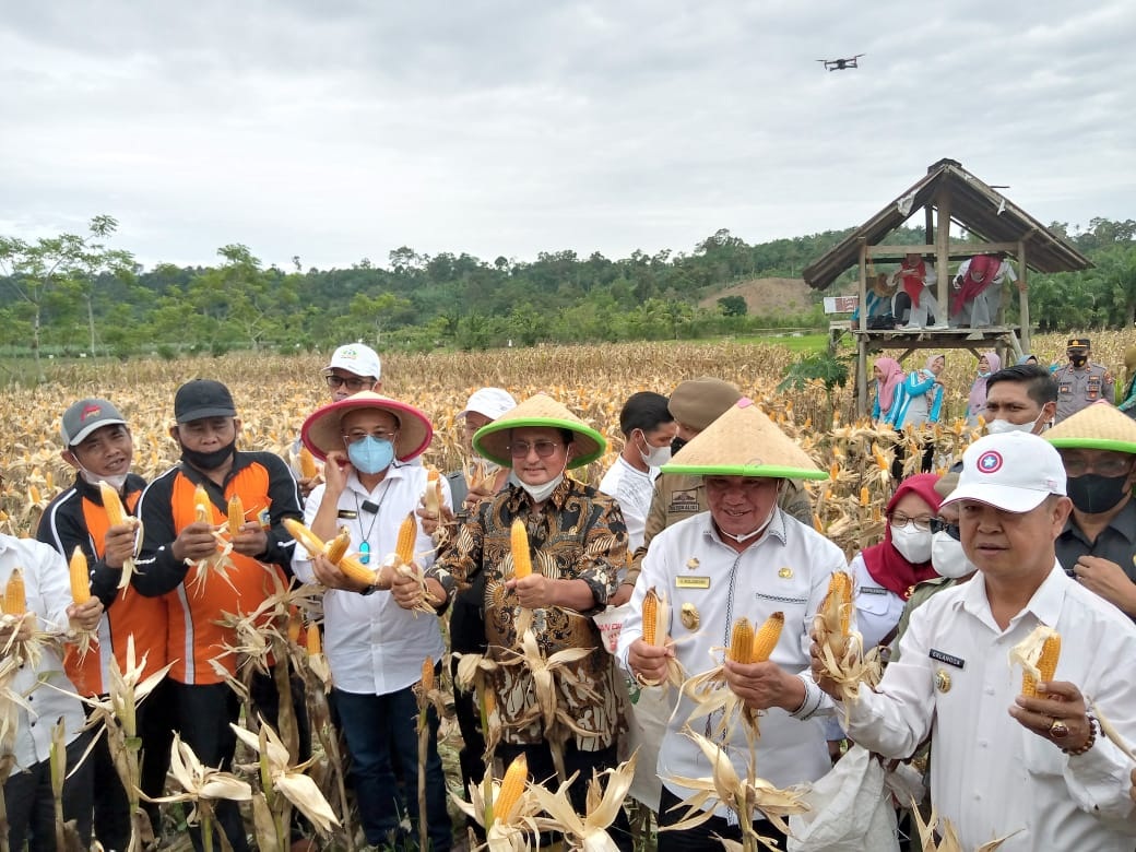 Waka II MPR : Bengkulu Selatan Berpotensi Menjadi Lumbung Jagung Nasional