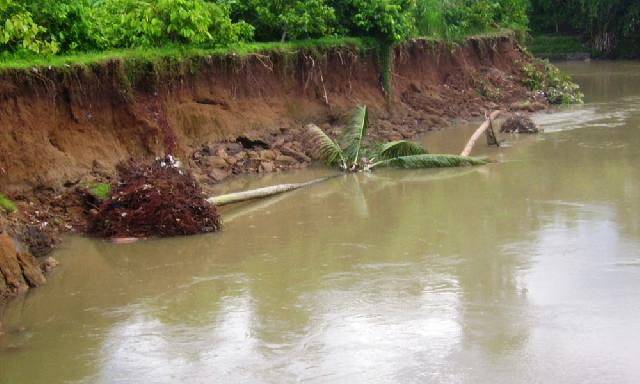 Bantaran Sungai Padang Guci Terancam Abrasi