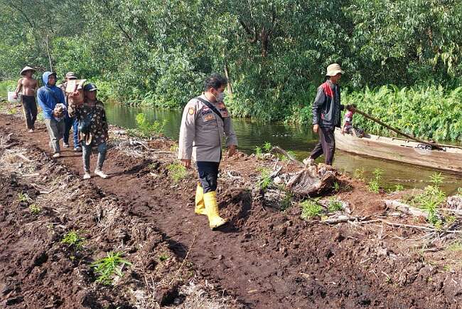 Sebrangi Kanal, Seorang Buruh Tewas Diterkam Buaya