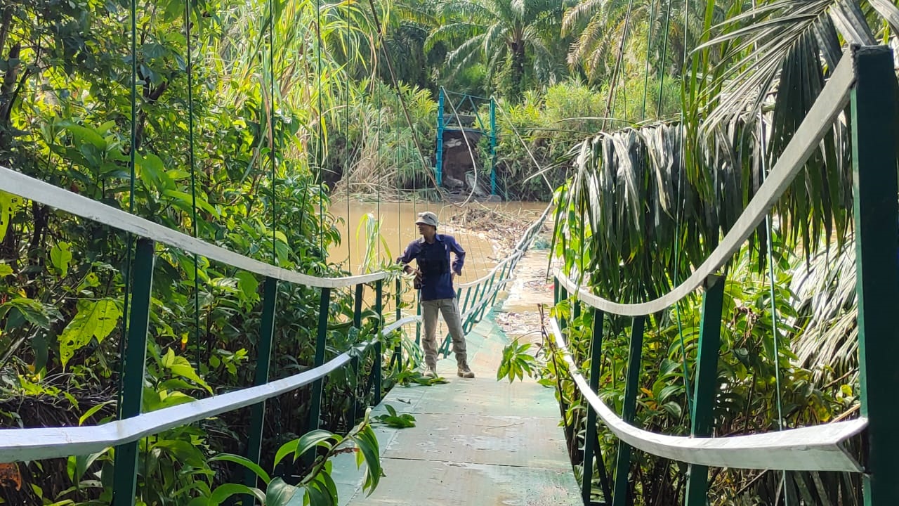 Sungai Meluap, Dua Jembatan Gantung Ambruk