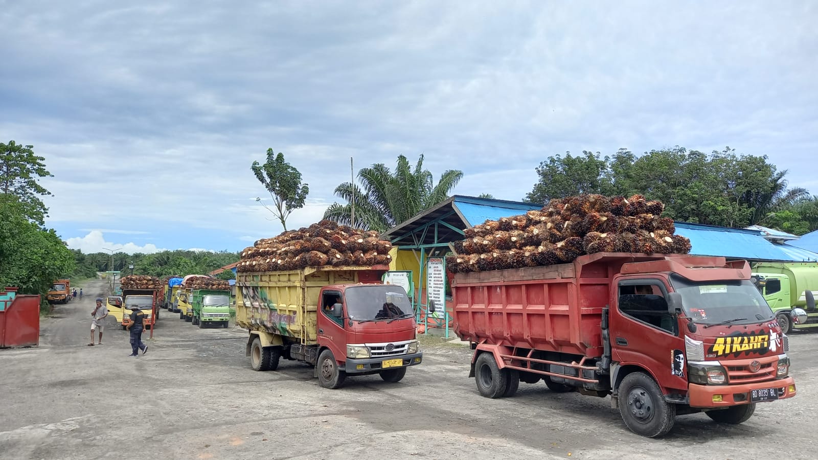 Pabrik CPO Tutup 30 April, Buka Lagi 8 Mei