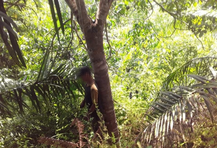 Hilang Sejak Kamis, Mulyadi Ditemukan Tergantung di Pohon Jengkol