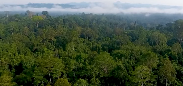 Bengkulu Itu Kaya, Ada Timbunan Emas dan Ladang Minyak, Jumlahnya Bisa Buat Kaya Tujuh Generasi