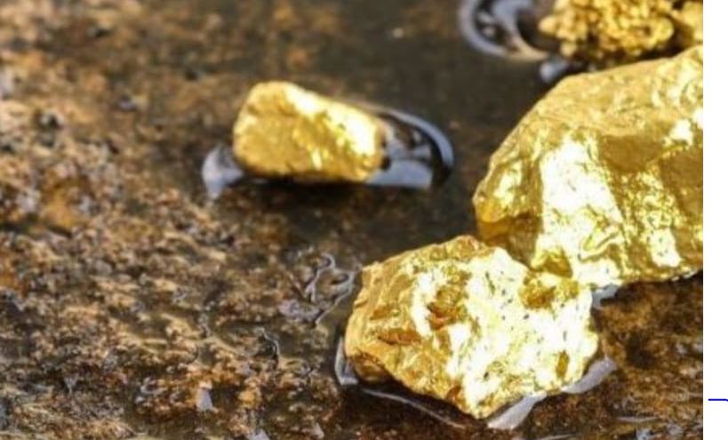 Pemkab Seluma Tunggu Tindak Lanjut Perusahaan Terkait Rencana Eksploitasi Emas