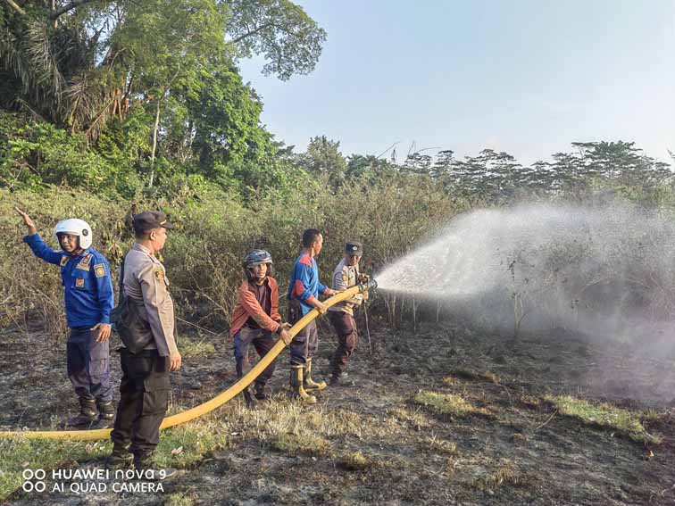 Dampak Kemarau di Bengkulu, Dua Lahan Terbakar Hebat, Ini Lokasinya