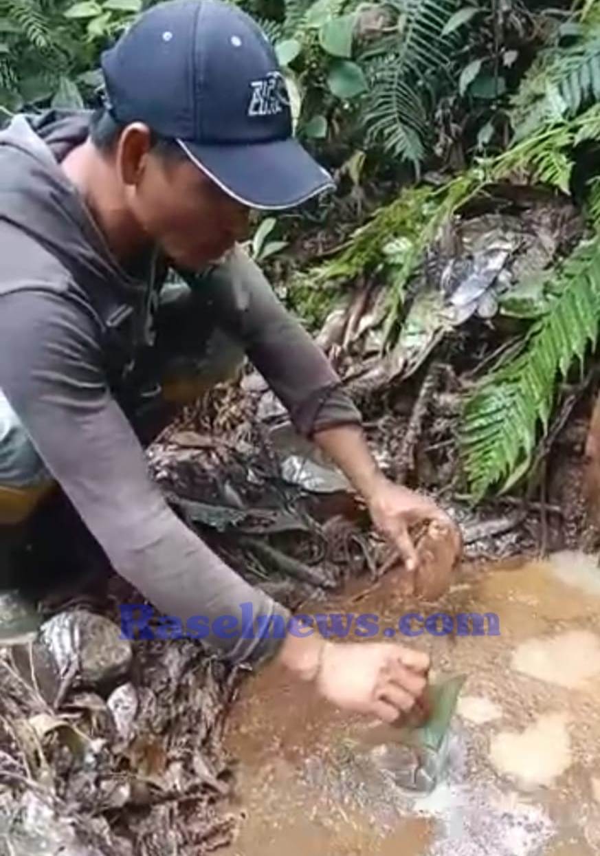 Pemkab Kaur Lirik Penemuan Ladang Minyak di Bukit Raje Mandare