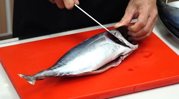 Tips Menghilangkan Racun Pada Ikan Tongkol, Mudah dan Praktis, Ini Caranya