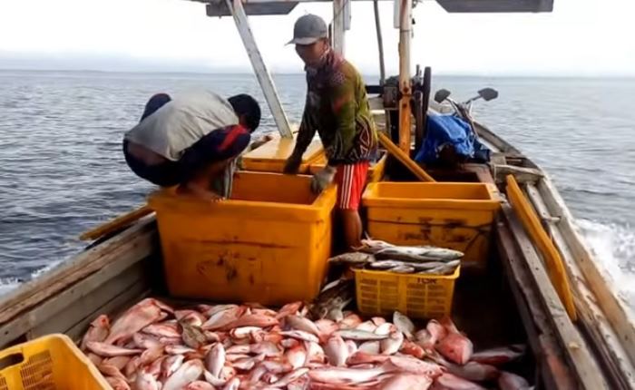 Cara Mudah Bagi Nelayan Indonesia Mendapatkan Modal Usaha, Plafon Miliaran, Cukup Dengan Proposal Saja