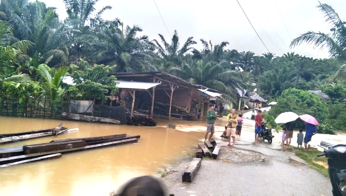 Banjir, 60 Ternak Hilang Ratusan Rumah Terendam