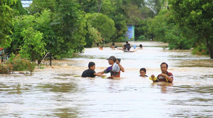 Tim Investigasi Pemprov Temukan 'Dalang' Penyebab Banjir di Bengkulu