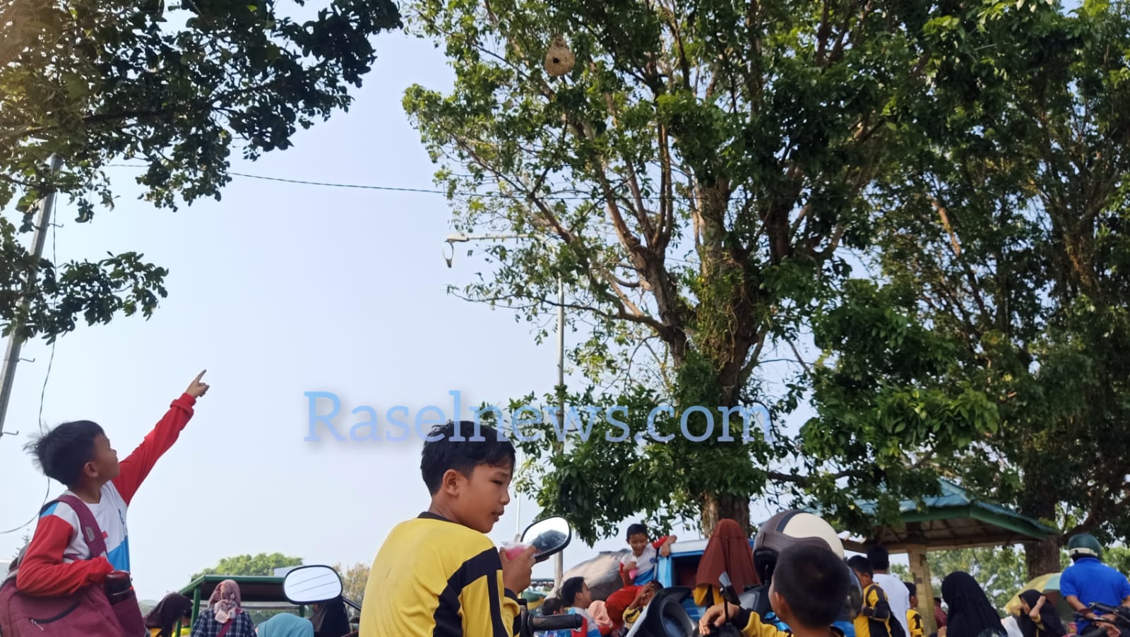 BREAKING NEWS: Sarang Tawon Ancam Warga Kaur