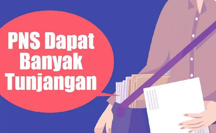 Negara Tetapkan 4 Jenis Tunjangan PNS yang akan Dicairkan Bulan Juli Ini, Berikut Daftarnya! 