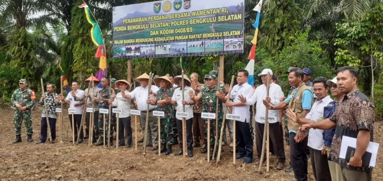Disaksikan Wakil Menteri Pertanian, Kodim 0408 Bengkulu Selatan Tebar 1.8 Ton Bibit Jagung di Bunga Mas