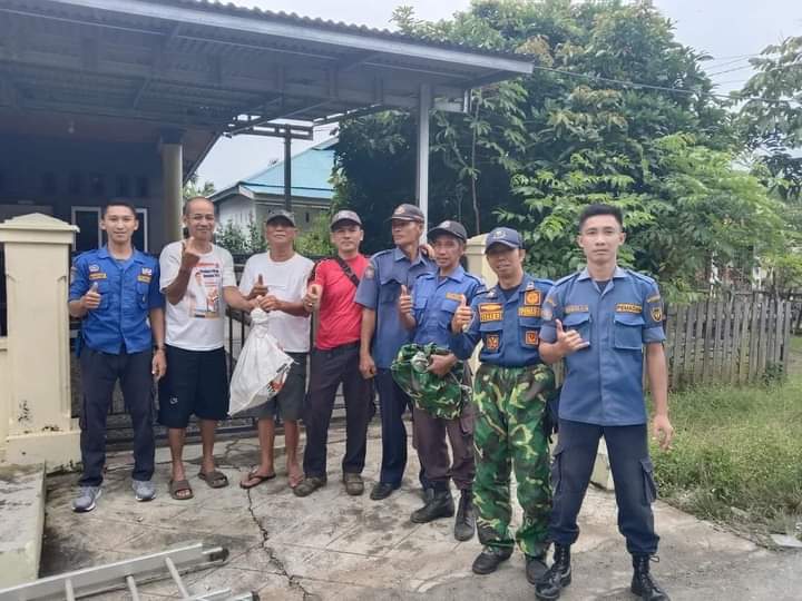  Tim Damkar Bengkulu Selatan Evakuasi Tawon Pembunuh