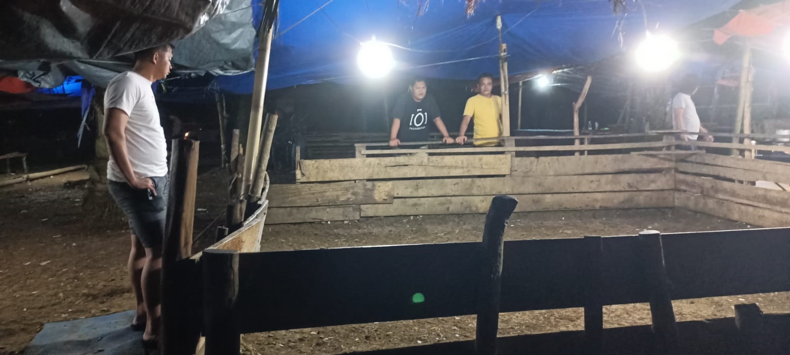 Sssttt…Ada Arena Judi Dekat Kantor Bupati Bengkulu Selatan: Polisi Datang, Hanya Ditemukan 4 Bangkai Ayam