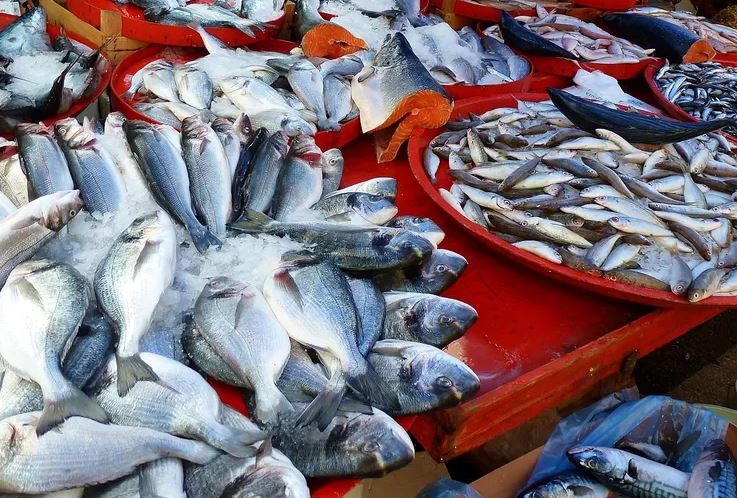 Mau Bakar Ikan Malam Tahun Baru? Simak Cara Pilih Ikan Segar, Nomor 4 Penting Diperhatikan