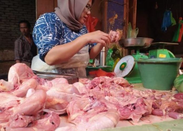 Jelang Idul Adha Harga Daging Ayam di Pasar Mulai Naik, Ini Penjelasan Peternak Ayam di bengkulu Selatan