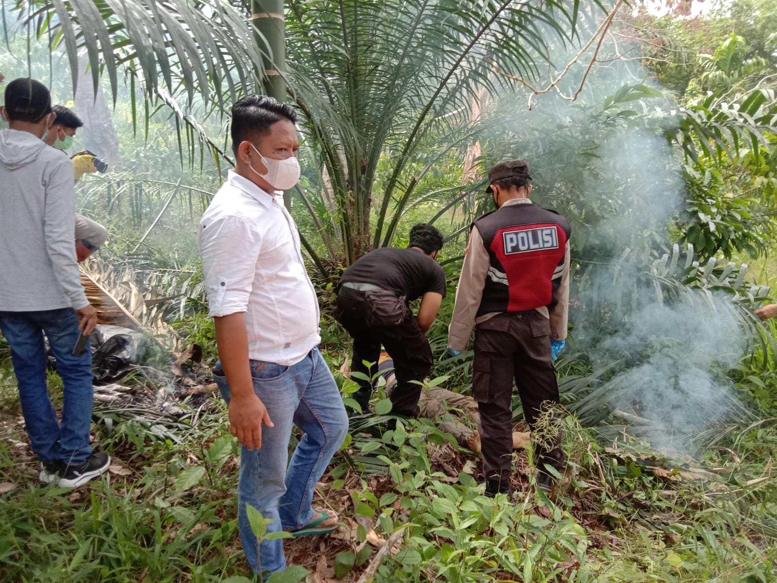 BREAKING NEWS: Warga Bengkulu Selatan Temukan Mayat Tergeletak di Kebun Kelapa Sawit