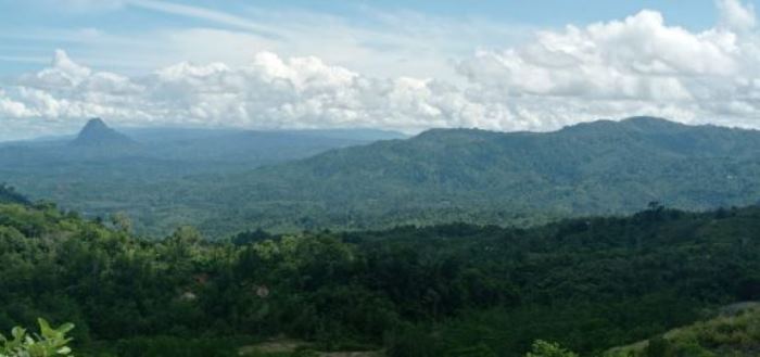 Dua Kecamatan di Bengkulu Memiliki Cadangan Emas Setara Freeport, Lokasinya di Seluma, Ini Nama Kecamatannya