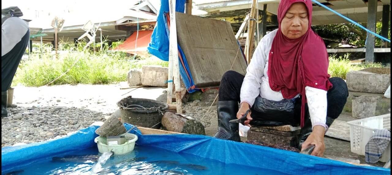 Di Bengkulu Selatan, Harga Ikan Air Tawar Naik, Daging Sapi dan Kerbau Stabil 
