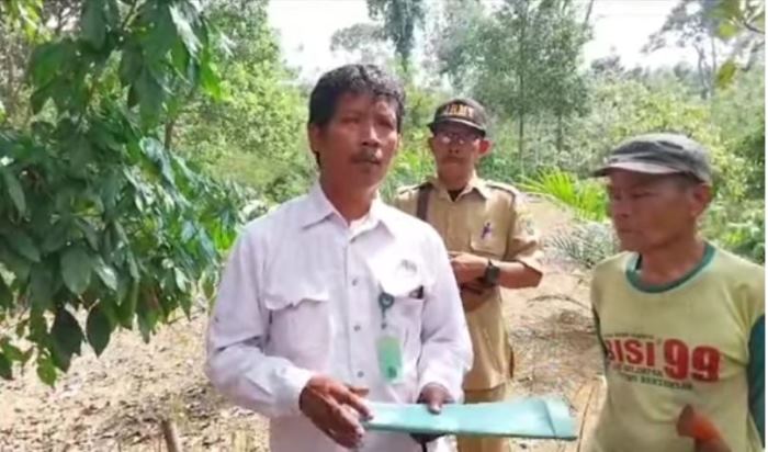 Harimau Sumatera Berbadan Kurus dan Berkaki Pincang Masih Berkeliaran, Ini Penjelasan Petugas BKSDA