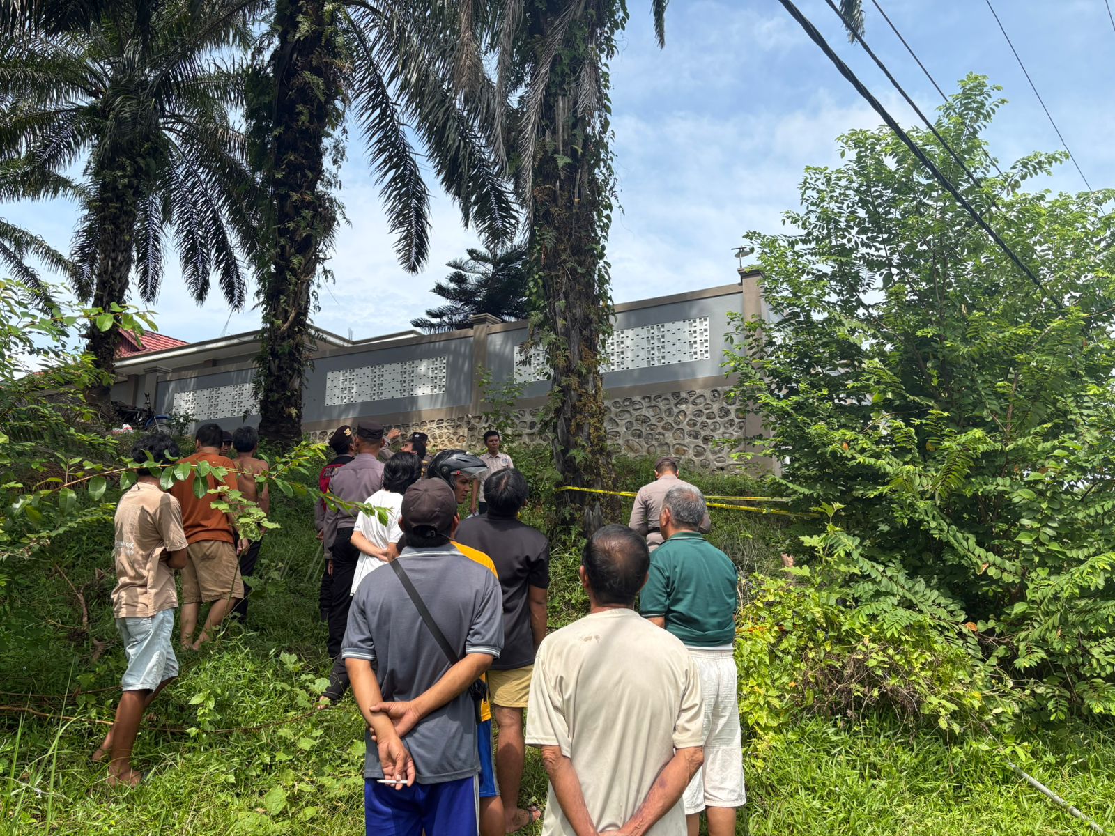 BREAKINGNEWS : Warga Seluma Meninggal Dunia Tersengat Listrik Saat Panen Sawit