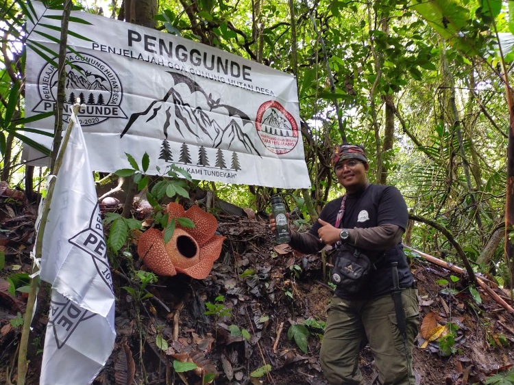 Perambahan Hutan Ancam Taman Bunga Rafflesia di Bengkulu Selatan