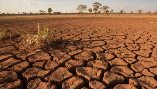 Lima Dampak El Nino bagi Sektor Pertanian, Pemerintah Harus Siapkan Langkah Strategis 