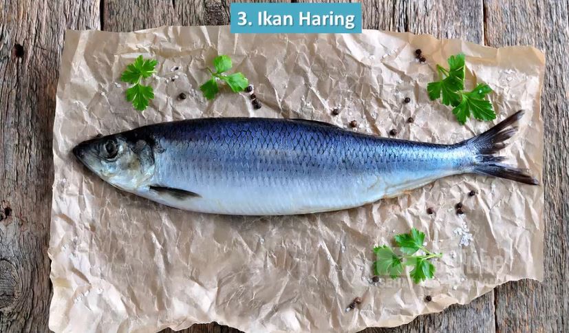 Jenis Ikan Terbaik untuk Kesehatan Jantung, Ini Kandungannya 