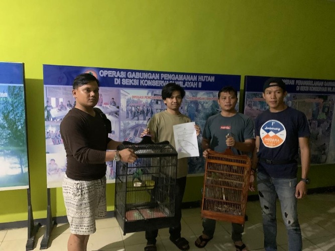 Burung Cucak Ijo dan Cucak Ranting Diamankan Polisi 