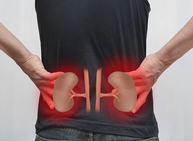 Kebiasaan Sehari-hari yang Dapat Merusak Ginjal Secara Perlahan, Ini Penjelasan Dokter