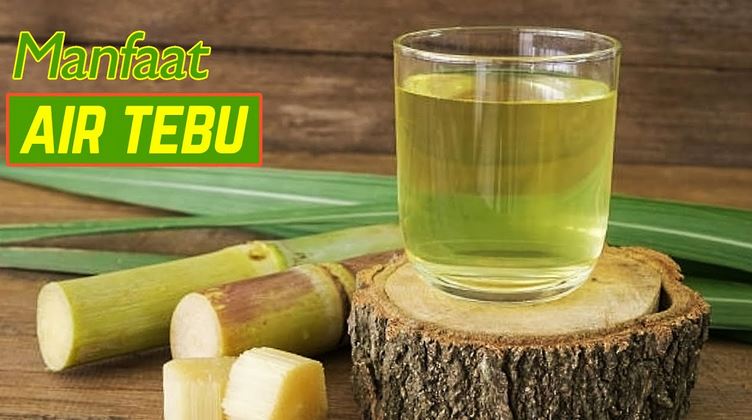 Air Tebu, Minuman Alami untuk Kesehatan! Apa Saja Manfaatnya untuk Tubuh?