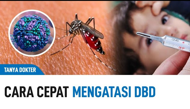 Pertolongan Pertama Mengatasi DBD untuk Pemulihan Cepat, Lakukan Hal Ini!