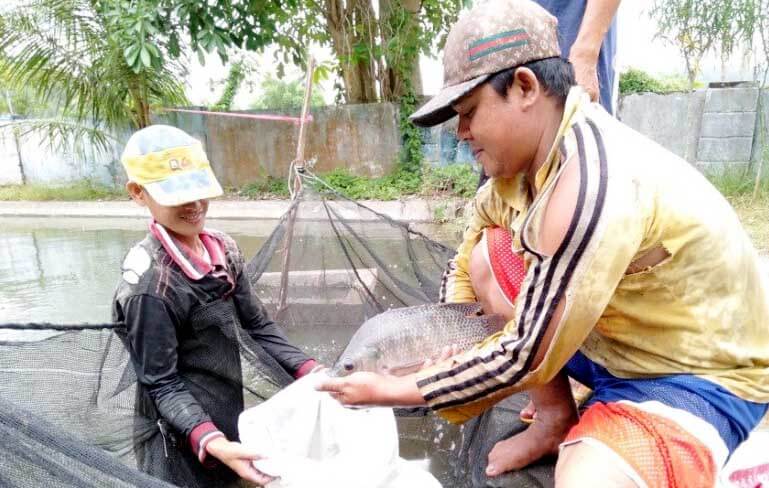 Maksimalkan Produksi Benih Ikan, Pemda Kaur Perbaiki BBI Kecamatan Nasal