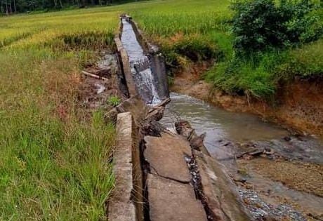 Sedih...Irigasi Rusak, Petani di Bengkulu Selatan Justru Diminta Iuran oleh Dinas Pertanian
