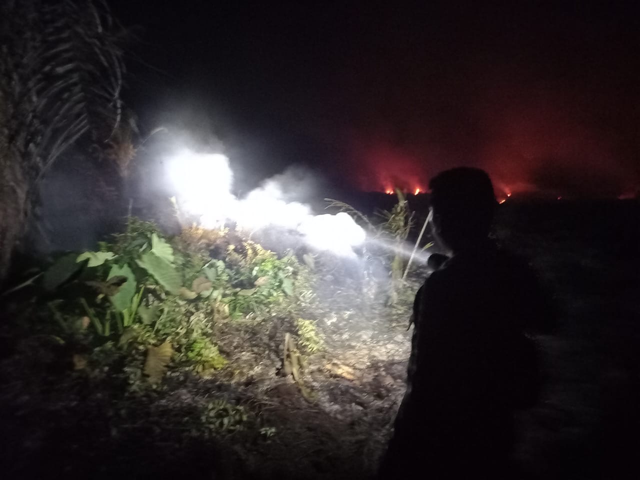 Lahan Gambut Seluas 5 Hektar di Seluma Terbakar, Pemadaman Masih Dilakukan