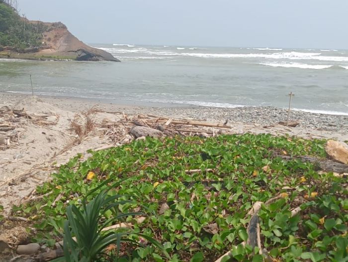 BREAKING NEWS: Nelayan Desa Tanggo Raso yang Hilang Kontak Ditemukan, Begini Kondisinya