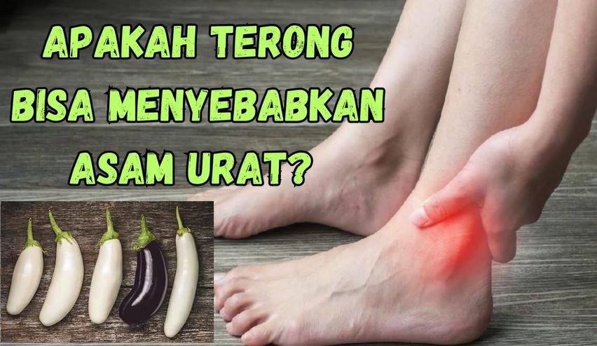 Apakah Terong Bisa Menyebabkan Asam Urat? Ini Fakta Yang Wajib Diketahui 