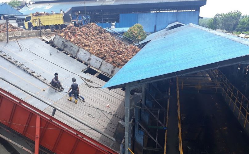 BREAKING NEWS: Terjepit Loading Ramps PT APLS Kaur, Warga Bengkulu Selatan Meninggal Dunia