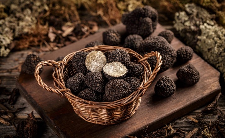 Truffle, Jamur Termahal di Dunia yang Mencegah Penuaan, 450 Gram Dibanderol Rp 31 Juta